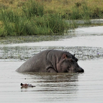 tourhub | One Horizon Africa | Ololo Wildlife and Community 