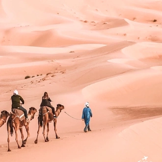 tourhub | VirSem Fun & Travel | Explore the Sahara: 7-Day Camel Trek Adventure in Tunisia 