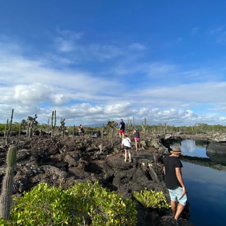 tourhub | G Adventures | Galápagos Adventure: Snorkelling & Sea Lions 