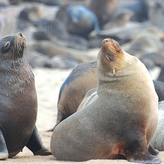 tourhub | Explore! | Namibia Lodge Safari 