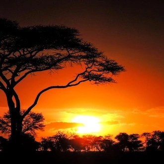 tourhub | G Adventures | Nairobi to Zanzibar: Serengeti & Sunsets 