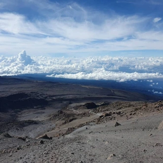 tourhub | Horizon Seeker Adventure | 6 days Kilimanjaro Machame route Group Joining 