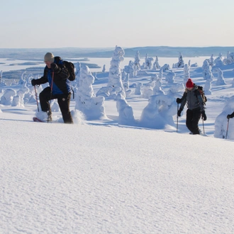 tourhub | Exodus Adventure Travels | Snowshoeing in Finland 