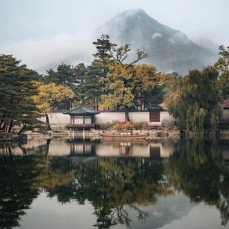 tourhub | The Dragon Trip | The Rising Sun Odyssey: An 11-Day Japan Tour 