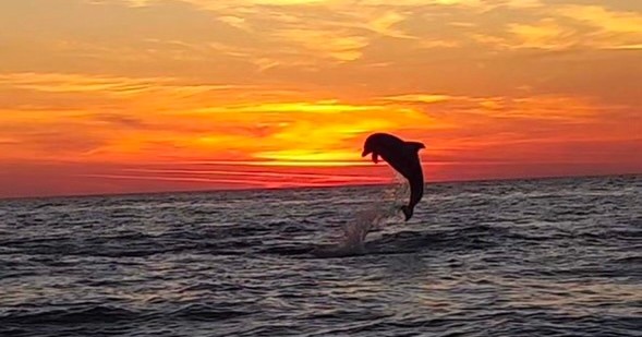 Thriller Destin Sunset Dolphin Cruise