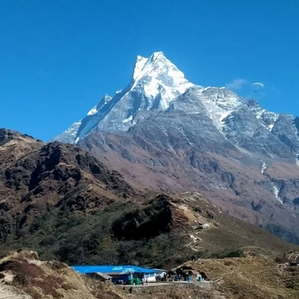 tourhub | Nepal Lion Tours and Treks | 7 Days Mardi Himal Trekking 