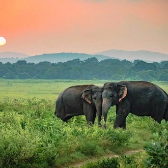 tourhub | Explore Vacations | Explore Sri Lanka 