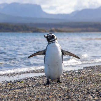 tourhub | Collette | Patagonia: Edge of the World featuring Argentina, Chile, and a 4-Night Patagonia Cruise 