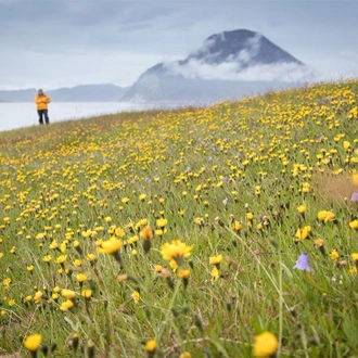 tourhub | Intrepid Travel |  Wild Fjords of South Greenland: Land of the Vikings 