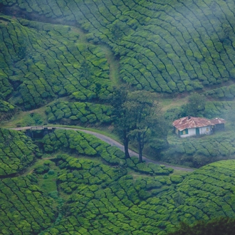 tourhub | The Voyages India | 3N/4D Kerala Tour from Cochin 