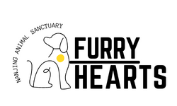 Furry Hearts Rescue logo