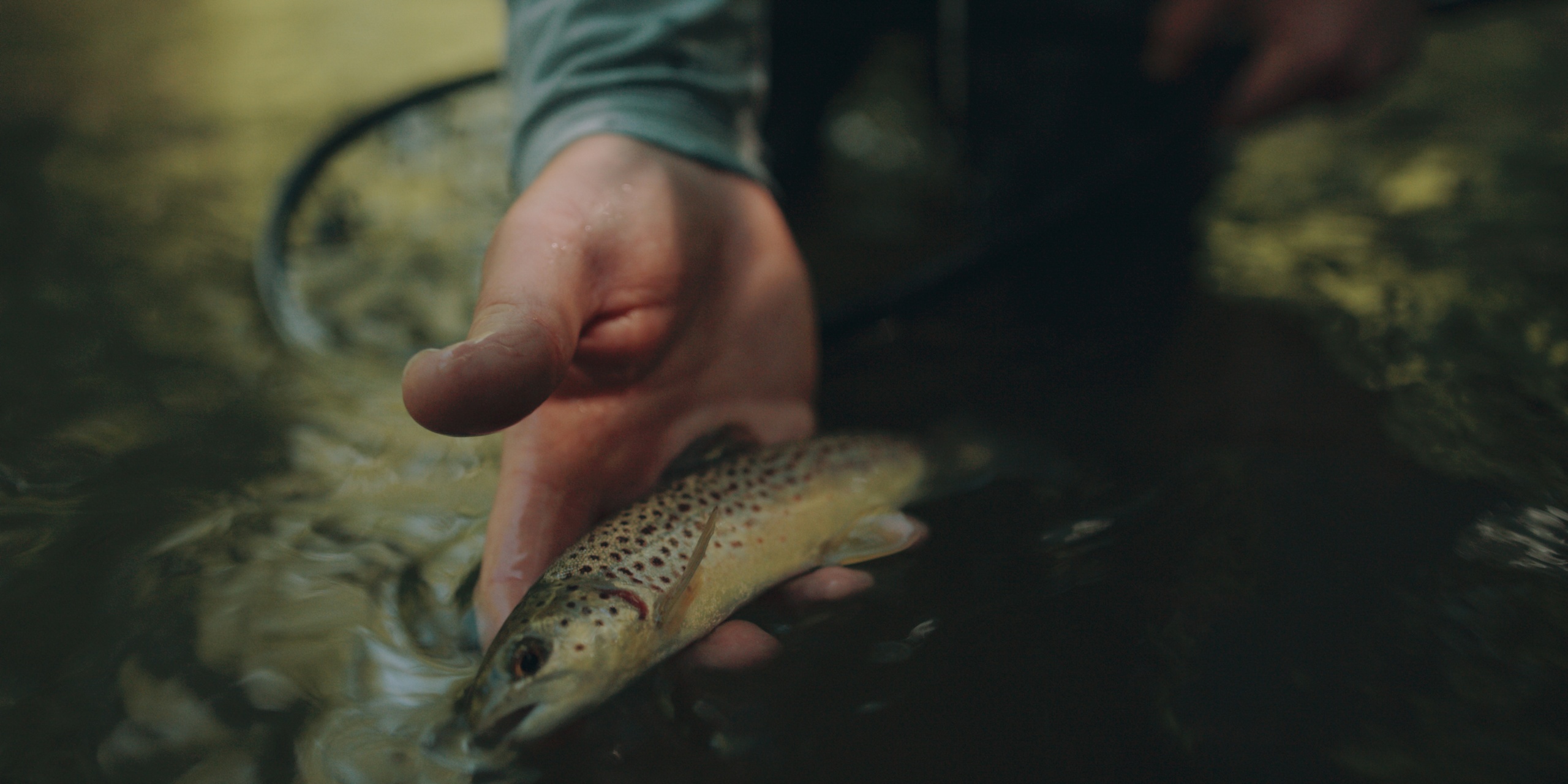 Fish & Hike Combo