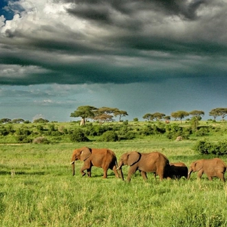 tourhub | Alaitol Safari | 9 Days Unforgettable Tanzania  