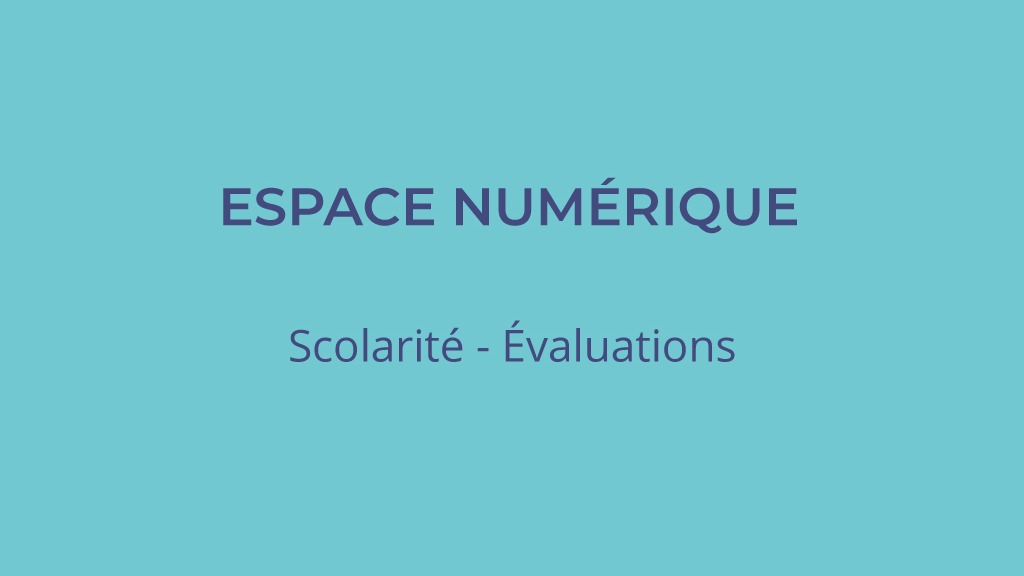 Représentation de la formation : 50ISCO02 : Scolarité - Evaluations