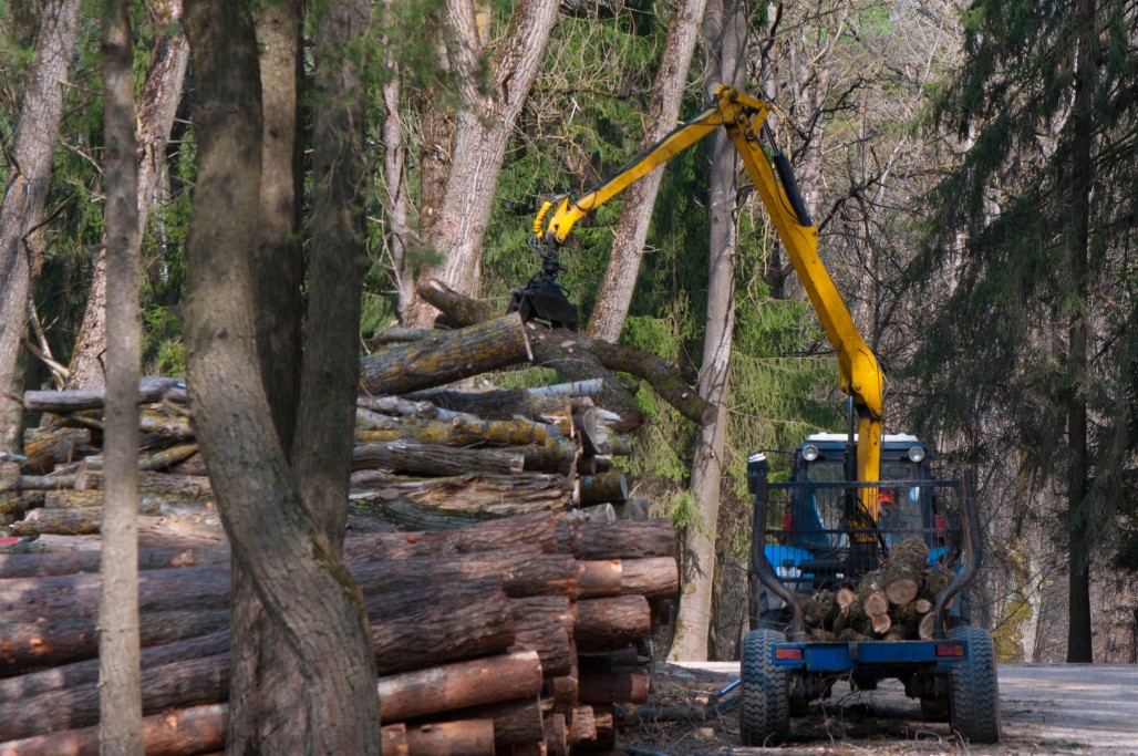 Is Capital Goods A Good Career Path? Tractor in capital goods industry lifting logs