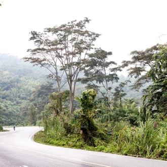 tourhub | SpiceRoads Cycling | Taiwan Explorer by Bike 