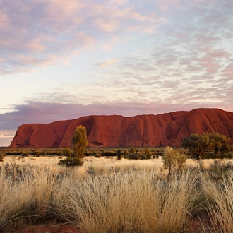 tourhub | AAT Kings | Northern Territory Explorer 