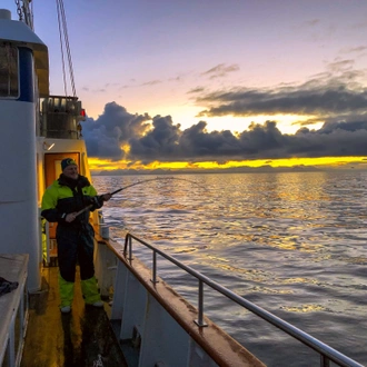 tourhub | World Sea Explorers AS | Winter Cod Fishing in Arctic Norway 