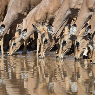 tourhub | Across Africa Tours Travel | Etosha NP & Swakopmund Safari 4 Days/ 3 Nights ( Comfort) 