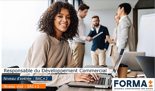 Représentation de la formation : Responsable du Développement Commercial