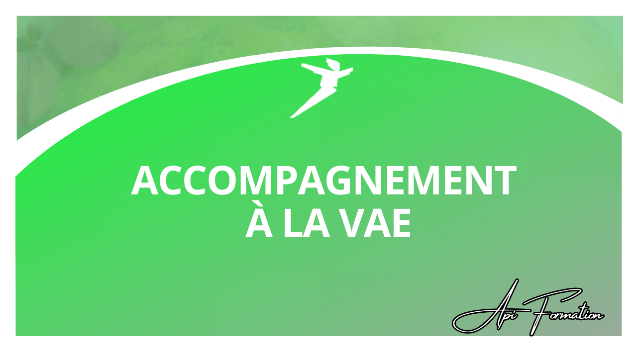 Représentation de la formation : ACCOMPAGNEMENT A LA VAE