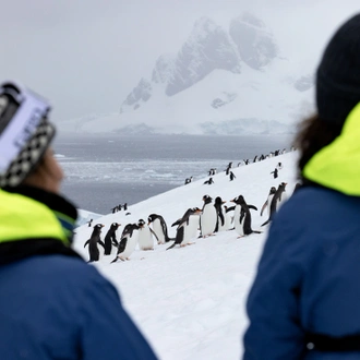 tourhub | Intrepid Travel | Journey to the Antarctic Circle (Ocean Endeavour) 