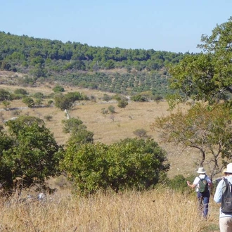 tourhub | Explore! | A Taste of Italy - Walking in Puglia 