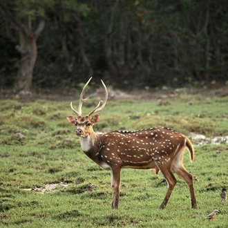 tourhub | Agora Voyages | Bhitarkanika Mangrove Forest Tour 