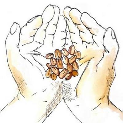 Drawing of hands holding coffee beans