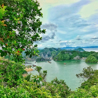 tourhub | Mr Linh's Adventures | Group tour - Cat Ba Trekking & Kayaking 3 days 2 nights 