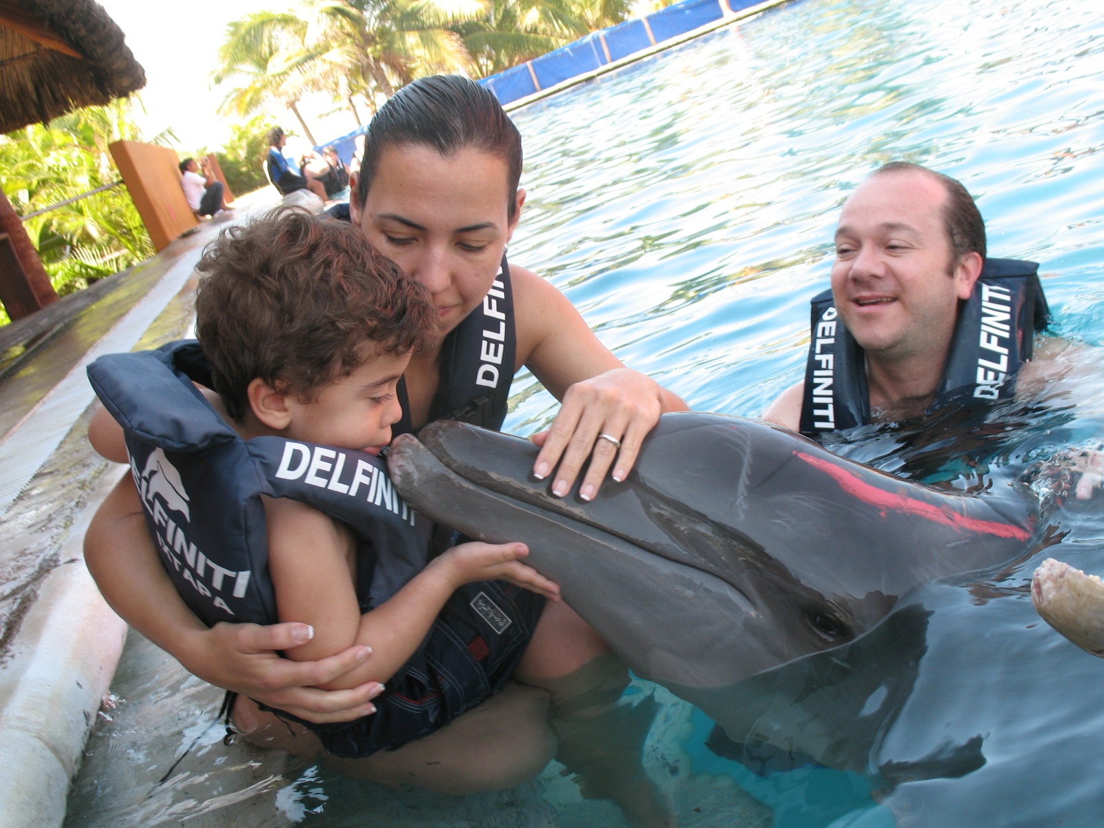 Nuota con i Delfini ad Acapulco con Prelievo - Alloggi in Acapulco