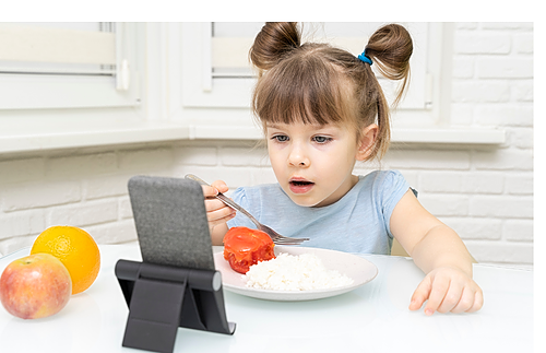 Représentation de la formation : Trouble de l’alimentation chez les enfants porteurs de TSA