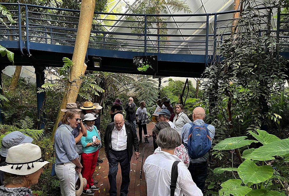 Inside the Bicentennial Tropical Conservatory in the Adelaide Botanic Garden (Park 11)