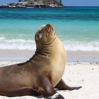 tourhub | G Adventures | Galápagos — North, West & Central Islands aboard the Yolita 