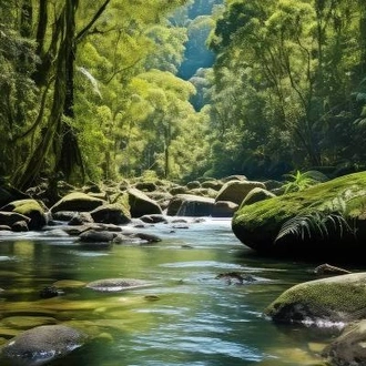 tourhub | On The Go Tours | Daintree Rainforest Discovery - 4 days 