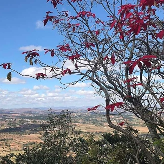 tourhub | Explore! | Madagascar: The Lost Continent 