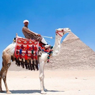 tourhub | Encounters Travel | Discover Egypt tour 