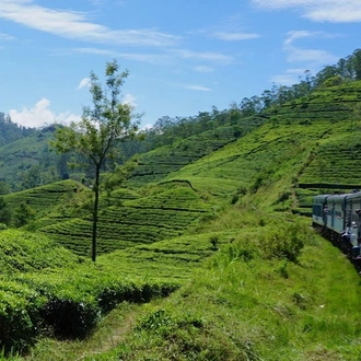 tourhub | Ceylon Travel Dream | Take a Hill Country Journey on the Rail Tracks 