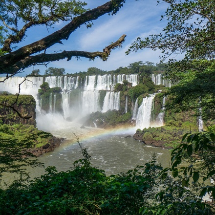 Brazilian Nature and Wildlife Private Tour Standard
