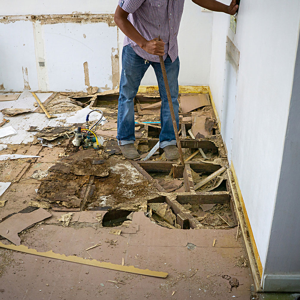 property-damage-by-termites