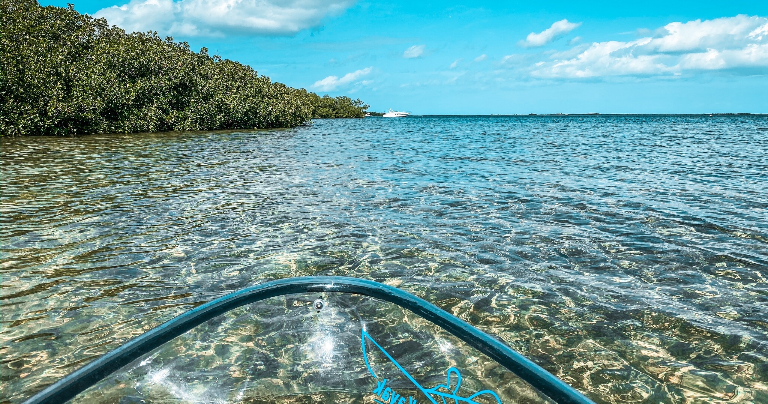 Clear Kayak Tour of Sugarloaf Key image 8