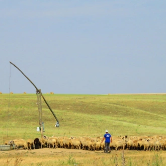 tourhub | Bike In Time | Danube Delta by Bike & Boat 