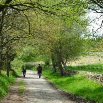 tourhub | UTracks | The Full Spanish Camino 