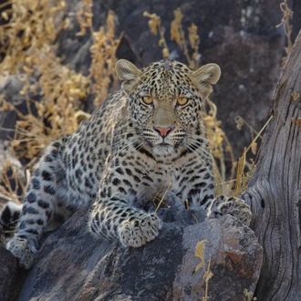 tourhub | Exodus Adventure Travels | Wildlife & Wilderness of Botswana 