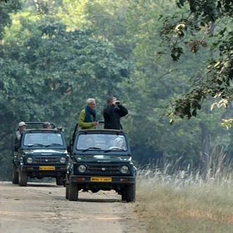 tourhub | Agora Voyages | Wildlife Safari in Central India: Bandhavgarh, Kanha, Pench & Tadoba Andhari National Parks 