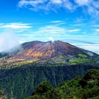 tourhub | Today Voyages | Wild Jungles and Secret Mountains of Costa Rica 