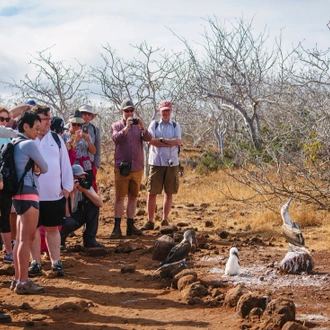 tourhub | Intrepid Travel | Galapagos Adventure: Northern Islands (Grand Daphne) 