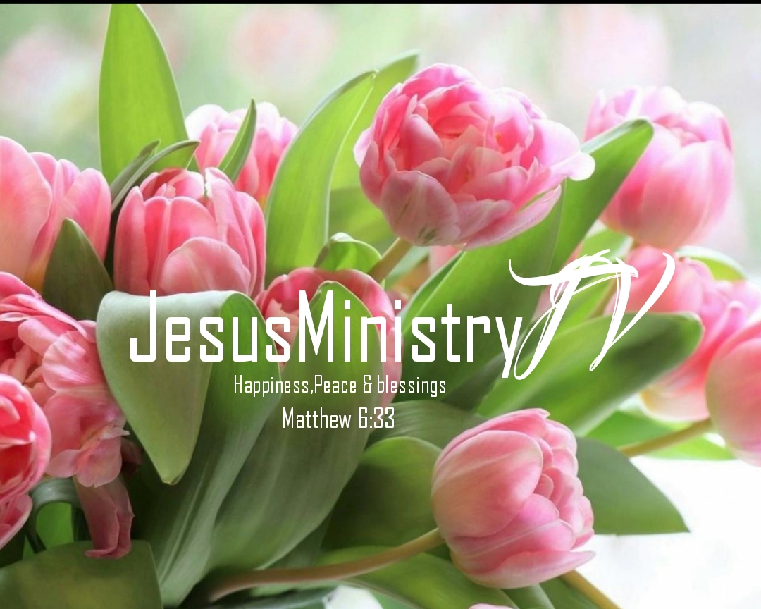 JesusMinistryTV logo