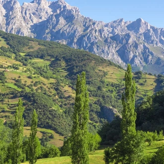 tourhub | Explore! | Trekking in Spain - Picos de Europa 