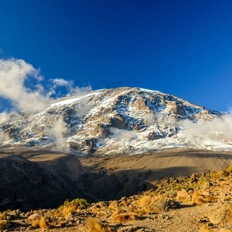 tourhub | Widerange African Safaris | 7 days Lemosho route best Kilimanjaro trekking tour | Kilimanjaro small group package 